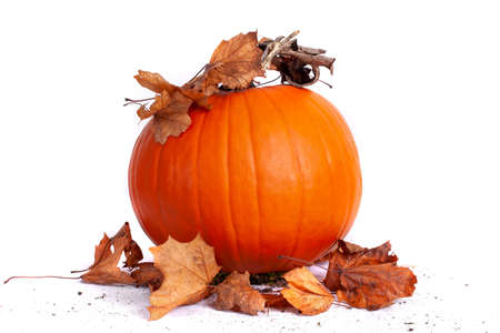 Halloween orange pumpkin with dried autumn leaves, isolated on white background studio imageの写真素材