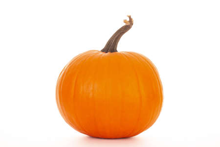 Halloween orange pumpkin whole uncut isolated on a white backgroundの写真素材