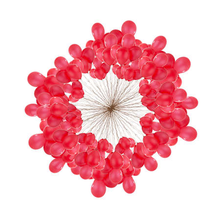 Ring of red balloons with strings isolated on a white backgroundの写真素材