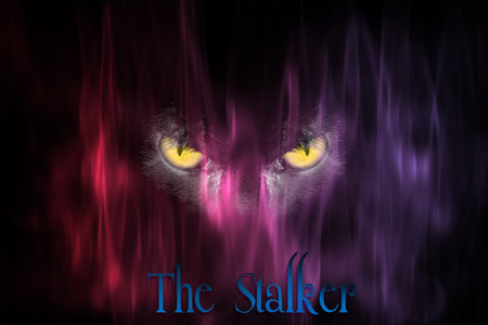 The Stalker Design - Scary cats eyes staring through magical purple haze on black backgroundの写真素材