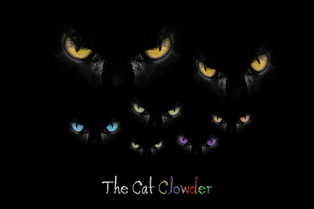 The Clowder Cats Design - Scary cat eyes showing up in the dark. Evil staring animals with a captionの写真素材