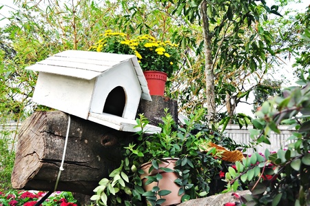 The Pigeon Hole at Garden Landscapeの写真素材