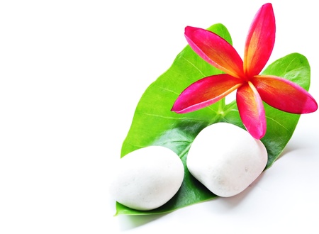 Red plumeria and white stone on green lead isolatedの写真素材