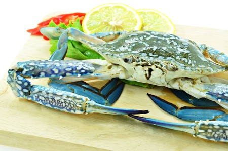 Close up fresh raw crab on chopping boardの写真素材