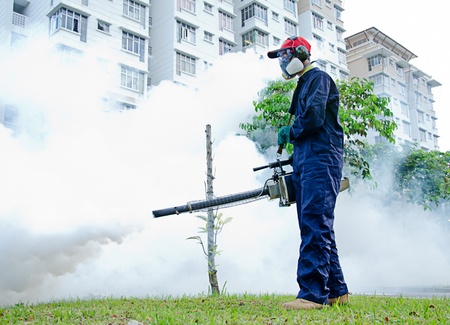 Environmental health workers are fogging for dengue controlの写真素材