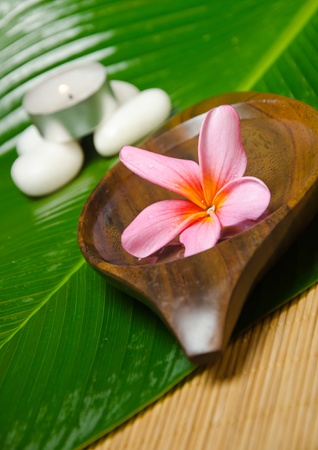 Spa treatment with red plumeria on green leafの写真素材