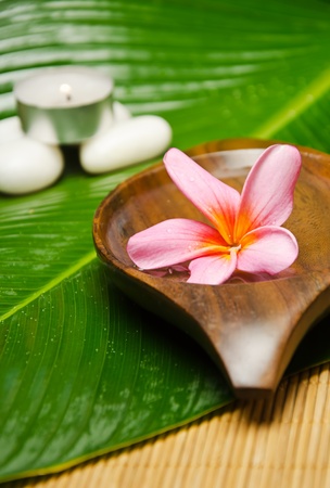 Spa treatment with red plumeria on green leafの写真素材