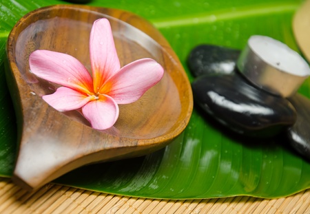 Spa treatment with red plumeria on green leafの写真素材