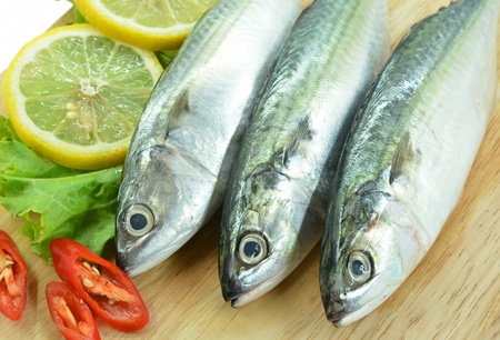 Fresh raw mackerel fish and lemonの写真素材
