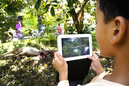 PAHANG, MALAYSIA - OKTOBER 26: Unidentified Malaysian Kids Muslims recording by smart phone in slaughtering a cow during Eid Al-Adha Al Mubarak, the Feast of Sacrifice on Oktober 26, 2012 in Pahang, Malaysia.                                のeditorial素材