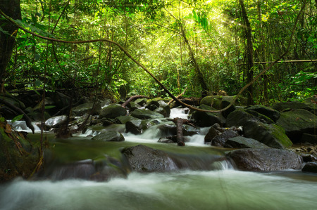Waterfall in a deep rain forest at sunny morning
