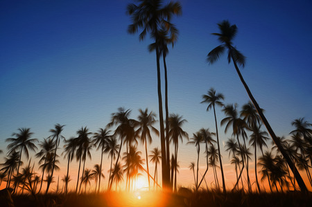 Dramatic stunning morning light sunset and Silhouetted of coconut tree. This photo has been given a Photoshop effect to make it resemble an oil painting.の写真素材