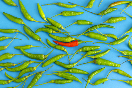 Groups of red and green chilli. Dare to be different concept.の写真素材