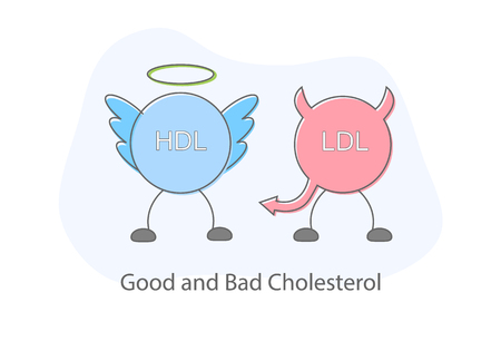 Good and bad cholesterol flat design Illustration vector.のイラスト素材