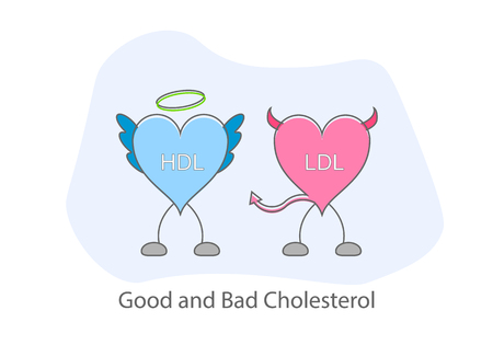 Good and bad cholesterol flat design Illustration vector.のイラスト素材