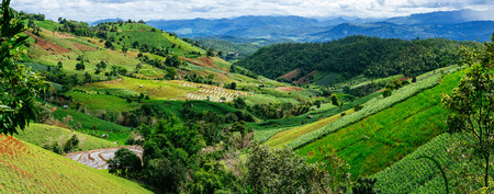 Rice terrace and mountain with the rain storm at the background at Pa Bong Piang near Inthanon National Park and Mae Chaem, Chiangmai, Thailand.の写真素材