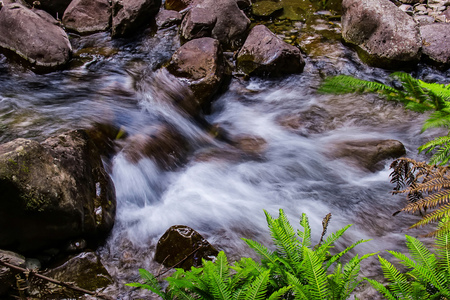 The Liffey Falls, a series of four distinct tieredâ€“cascade waterfalls on the Liffey River, is...