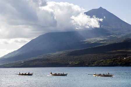 Rowing boat race near the shoreの写真素材