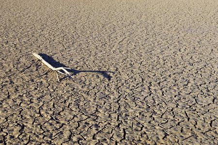 Dead tree branch laying in a field of cracked mud の写真素材