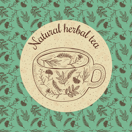 Vector illustration sketch card - herbal teaのイラスト素材