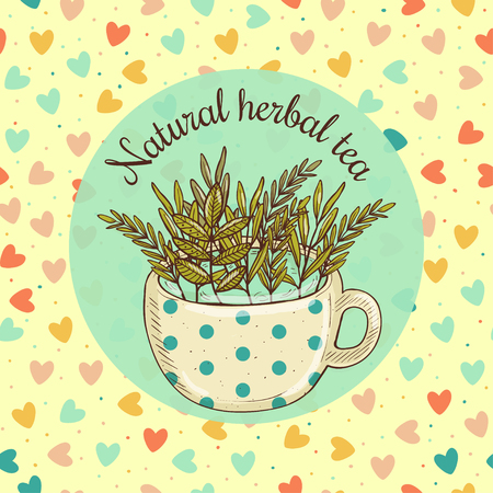 Vector illustration sketch card - natural herbal teaのイラスト素材