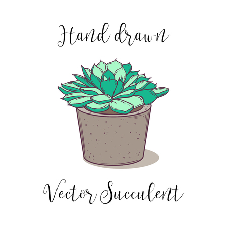 Cute colorful hand drawn succulent in a concrete flower pot. Vector illustration.のイラスト素材