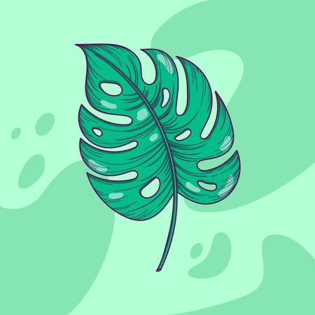 Hand drawn monstera leaf vector illustration for cards, wedding invitation and birthday cardsのイラスト素材