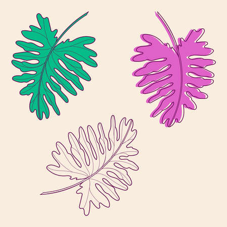 Set of three hand drawn tropical leaves, vector illustration for cards, wedding invitation and birthday cardsのイラスト素材