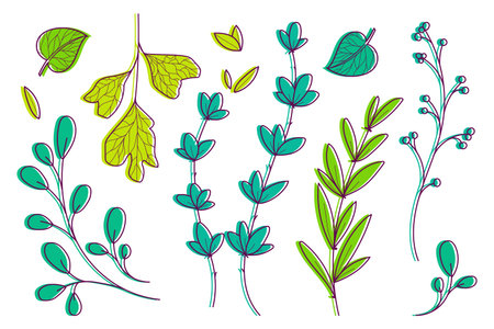 Set of hand drawn leaves for your design. To create backgrounds, banners, wedding cards. Vector illustration isolatedのイラスト素材