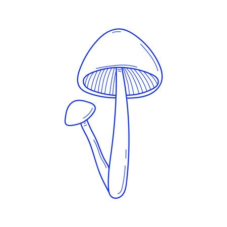 Vector hand drawn two mushrooms sketch isolated on white background. Amanita muscaria, fly agaric illustrationのイラスト素材
