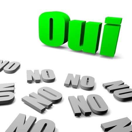 Green yes between gray no french text, thinking different concept 3d illustrationの写真素材