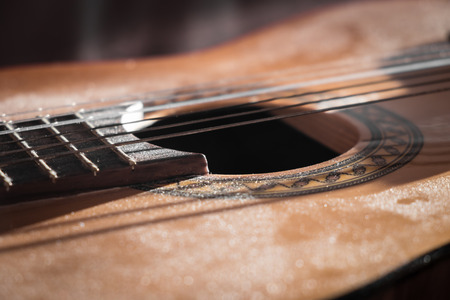 Classical Guitar Covered with Dust Close-up
