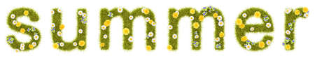 Flowery Grassy Summer Text Shape Isolated on Whiteの写真素材
