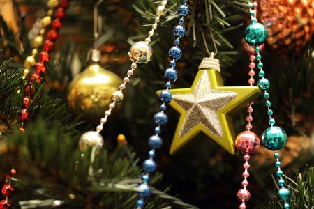 New Year's Eve, and Christmas is the best holidayの写真素材