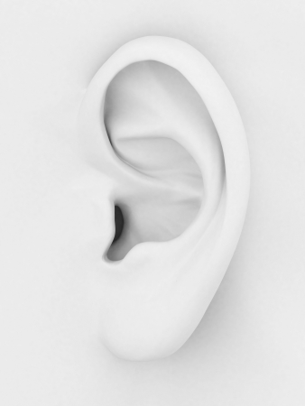 3d model of the ear on a gray backgroundの写真素材