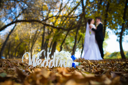 wedding photography is very beautiful couple on a background of natureの写真素材