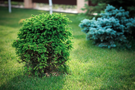 Landscape design and its elements in photographyの写真素材