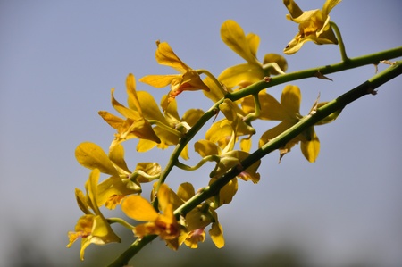 bangkok thaildの写真素材