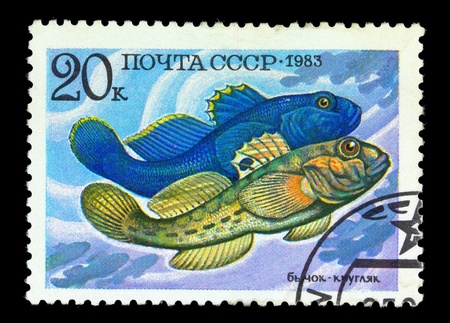 USSR - CIRCA 1983: A stamp printed in USSR shows fish Gobiidae, circa 1983の写真素材