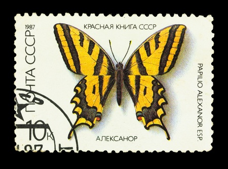 USSR - CIRCA 1987. A stamp is printed in USSR, shows the rare type of butterfly, circa 1987の写真素材