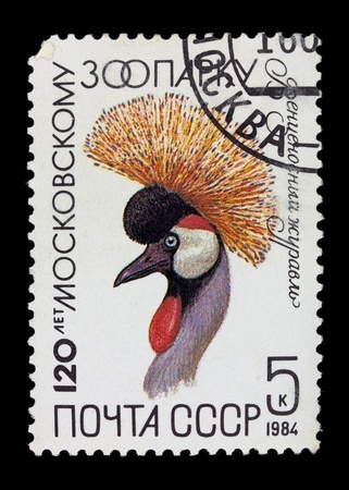 USSR - CIRCA 1984. A stamp printed in USSR showing peacock circa 1984の写真素材