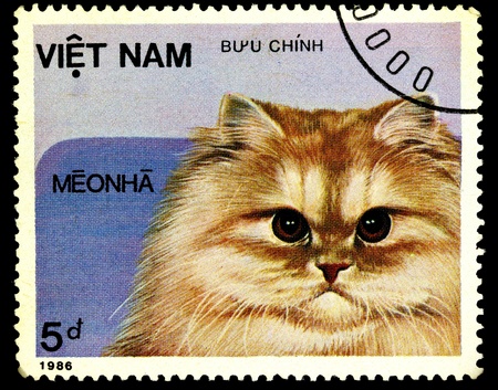 VIETNAM - CIRCA 1986. A stamp printed in Vietnam shows house cat, series, circa 1986の写真素材