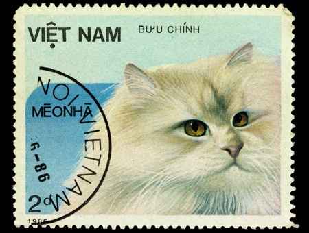 VIETNAM - CIRCA 1986. A stamp printed in Vietnam shows house cat, series, circa 1986の写真素材