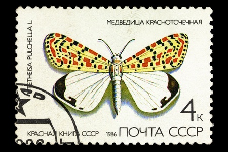 USSR - CIRCA 1986. A stamp is printed in USSR, shows the rare type of butterfly, circa 1986の写真素材