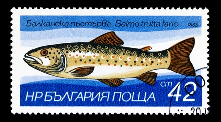 BULGARIA - CIRCA 1983. A stamp printed in Bulgaria, shows Brown trout - Salmo trutta fario, circa 1983の写真素材