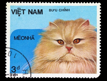 VIETNAM - CIRCA 1986. A stamp printed in Vietnam shows house cat, series, circa 1986の写真素材