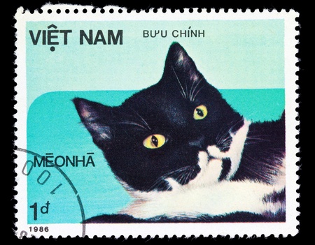 VIETNAM - CIRCA 1986: A stamp printed in Vietnam shows house cat, series, circa 1986の写真素材