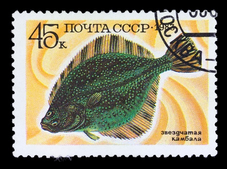 USSR - CIRCA 1983: Printed by RUSSIA, shows Starry Flounder fish, circa 1983の写真素材