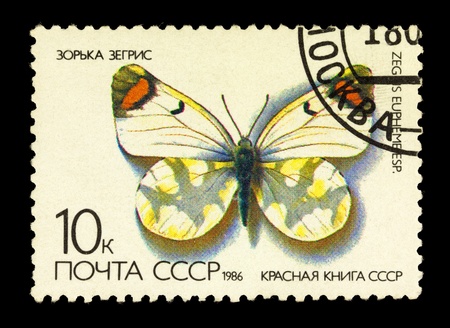 USSR - CIRCA 1986: A post stamp printed in USSR shows butterfly from The Red Book, series, circa 1986.の写真素材