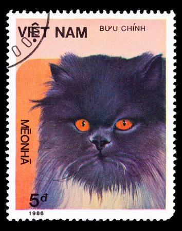 VIETNAM - CIRCA 1986: A stamp printed in Vietnam shows house cat, series, circa 1986の写真素材
